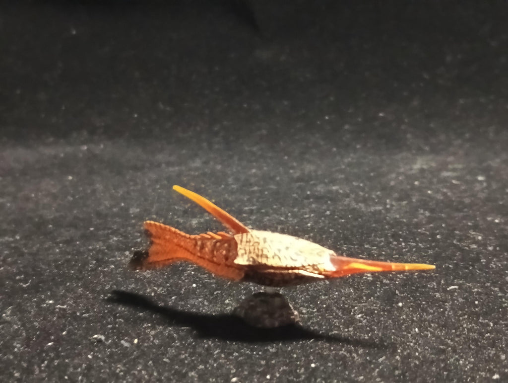 Kaiyodo UHA Dinotales Series 2 Pteraspis Armored Fish
