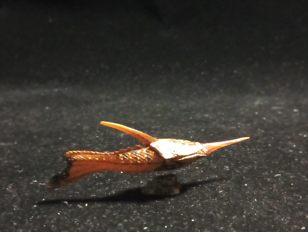 Kaiyodo UHA Dinotales Series 2 Pteraspis Armored Fish