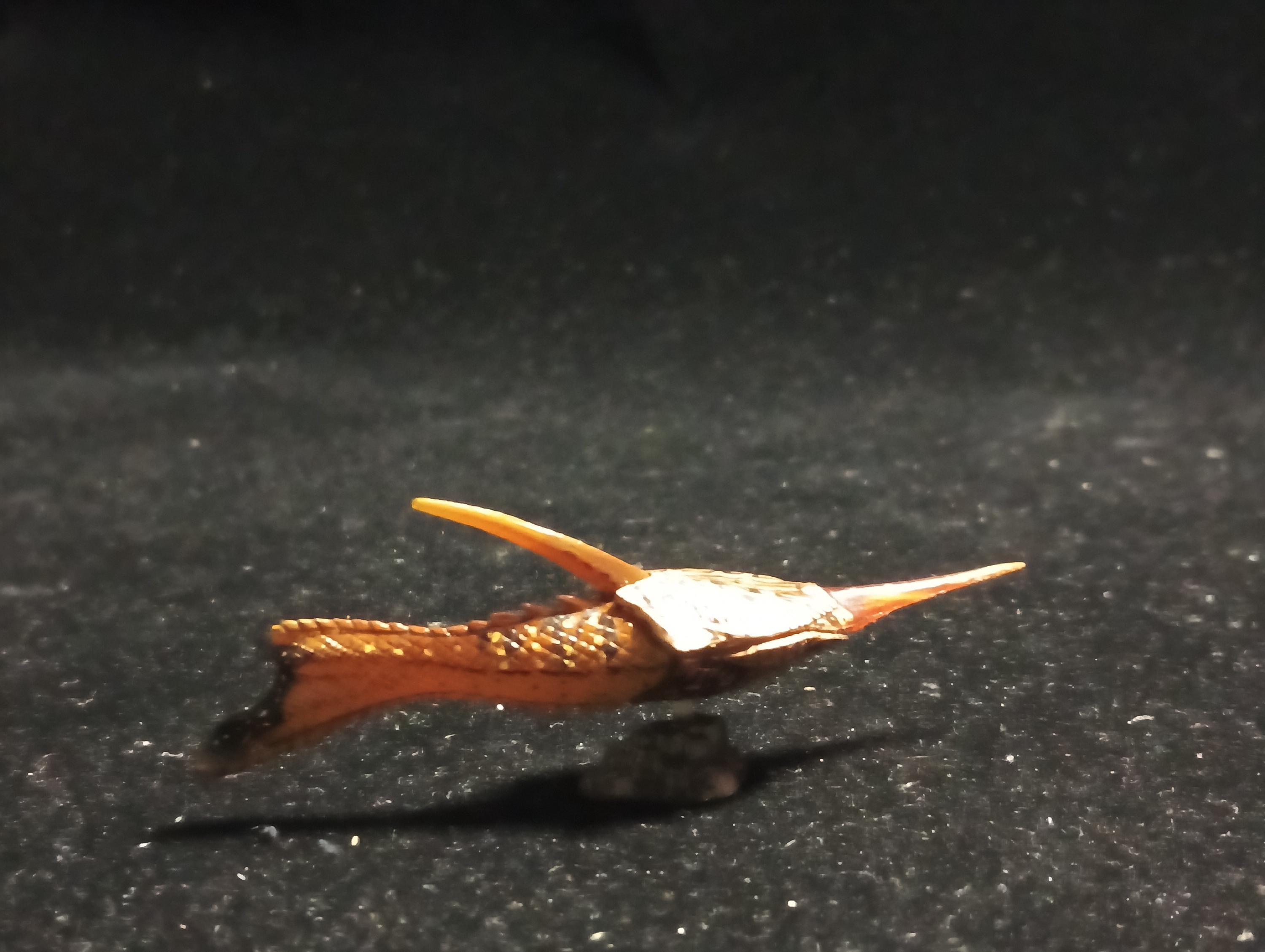 Kaiyodo UHA Dinotales Series 2 Pteraspis Armored Fish