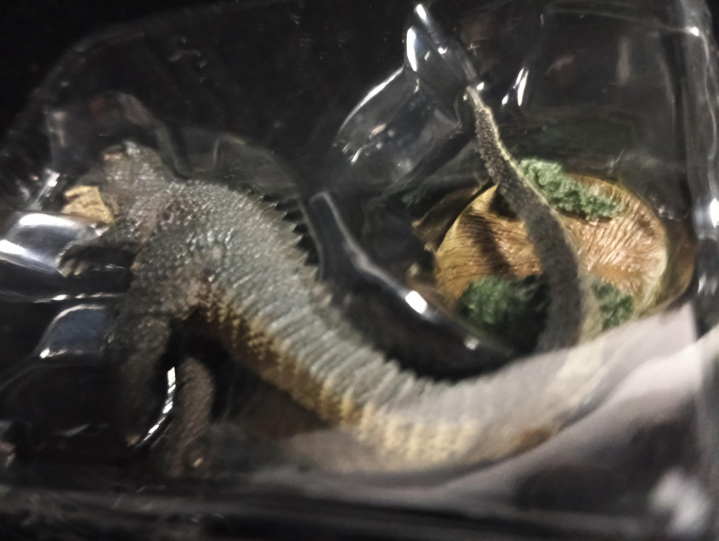 Iwakura Special Effects Encyclopedia Ver.1 Godzilla Primitive Dinosaur Gorosaurus