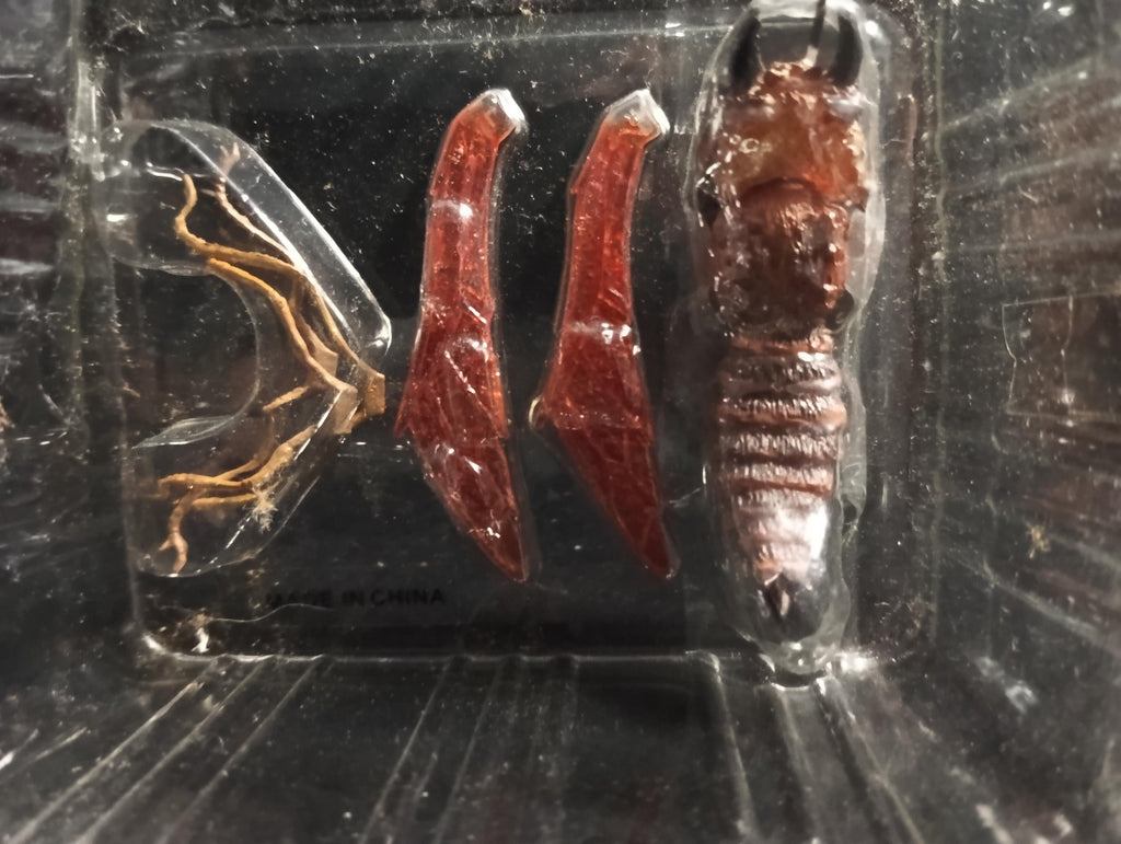 Special Effects Encyclopedia Murder Highly Toxic Insect(Red) Iwakura