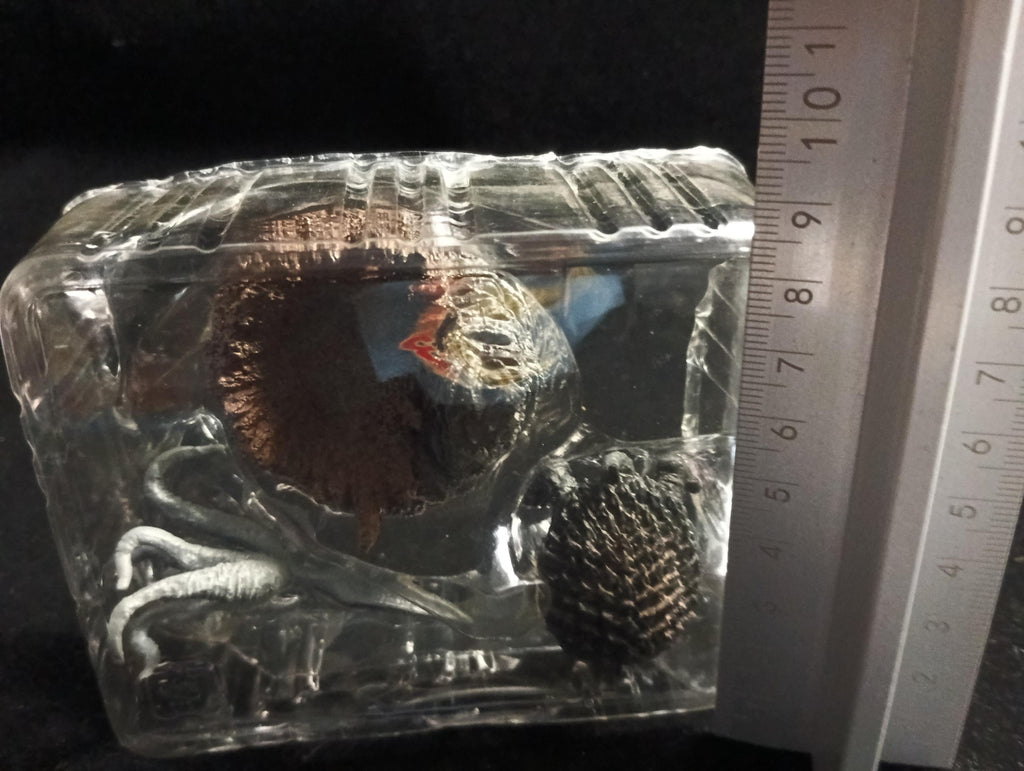 Gamera Gappa and Girara Special Effects Encyclopedia ver.1 Gamera vs. Villas, Fierce Fighting Ver., Orion Kaiju