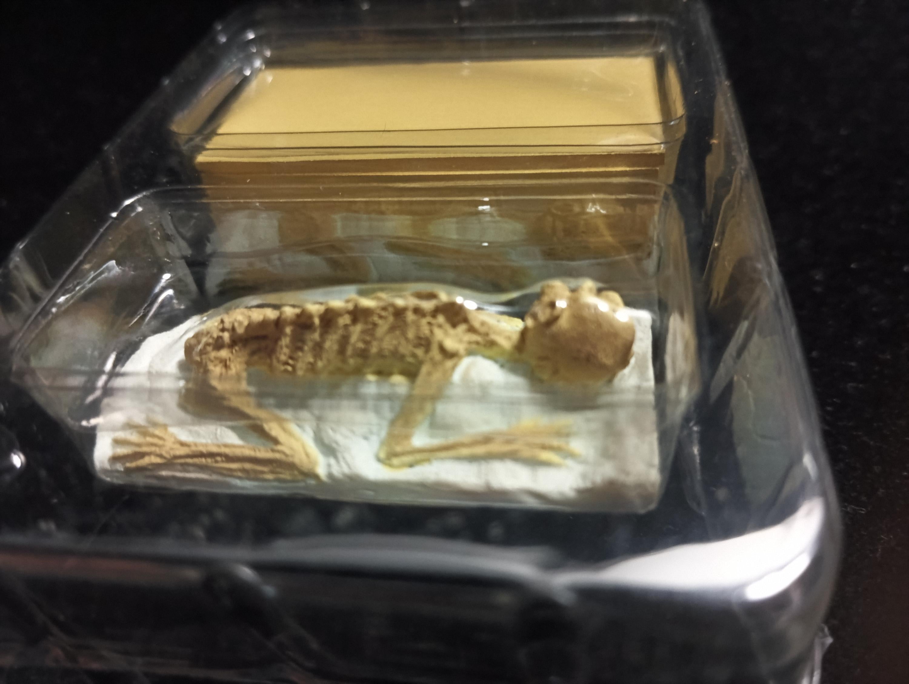 Kaiyodo Collect Club Seven Wonders Figure - Kappa mummy