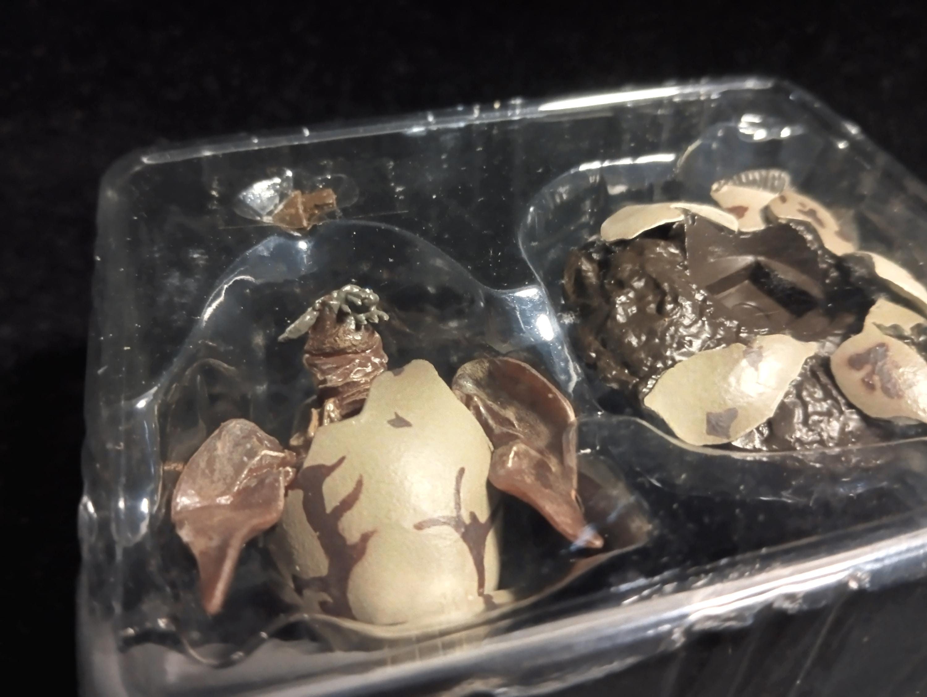 Godzilla Special Effects Encyclopedia ver.1: The Giant Sky Monster Rodan Hatchling