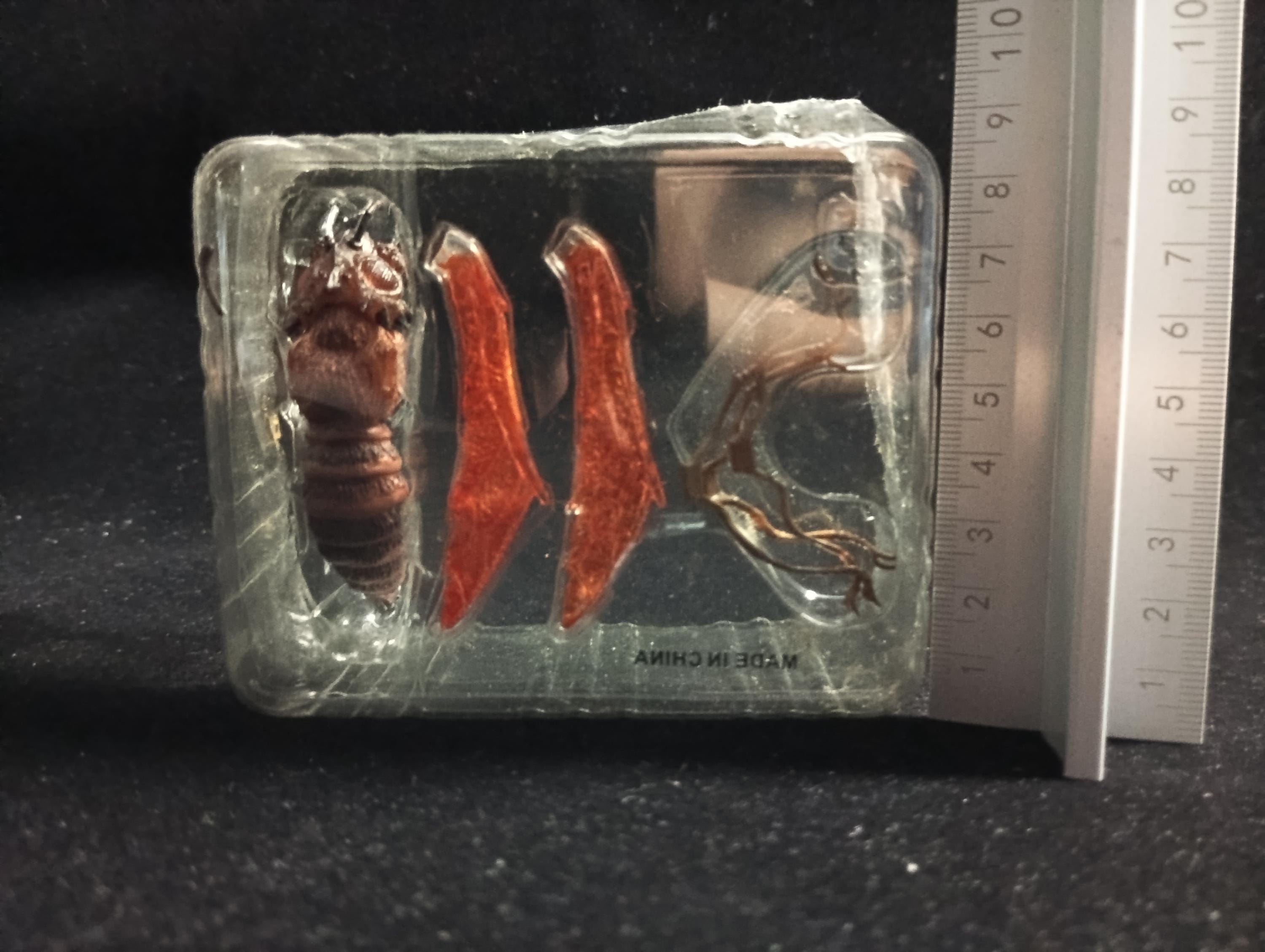 Special Effects Encyclopedia Murder Highly Toxic Insect(Red) Iwakura
