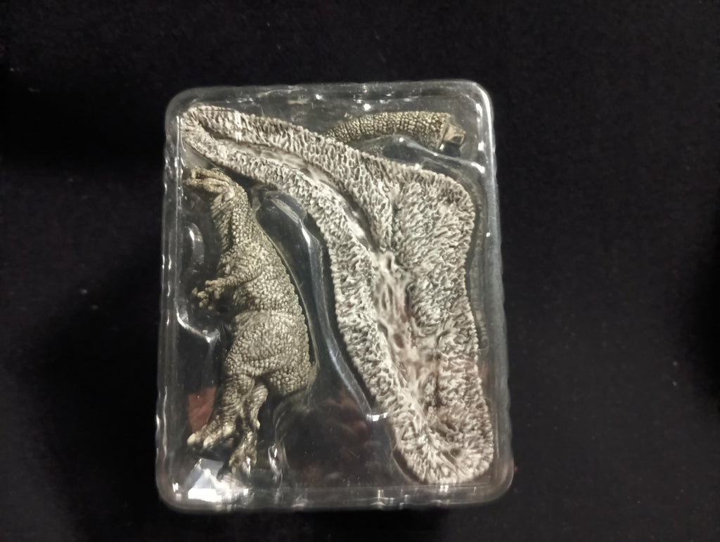 Diorama Iwakura Special Effects Encyclopedia Godzillasaurus (Black version) "Godzilla vs. King Ghidorah (1993)