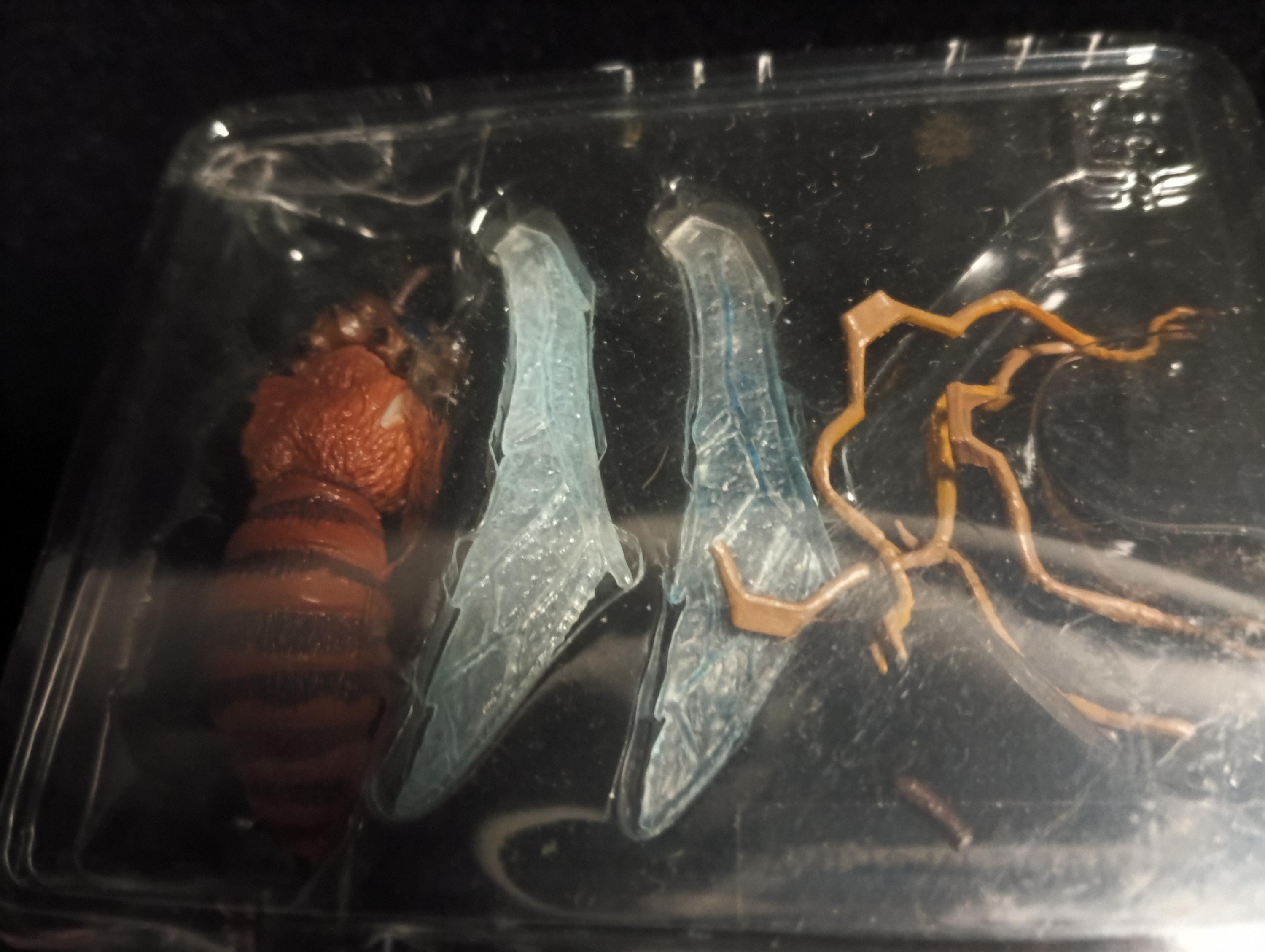 Special Effects Encyclopedia Murder Highly Toxic Insect Iwakura