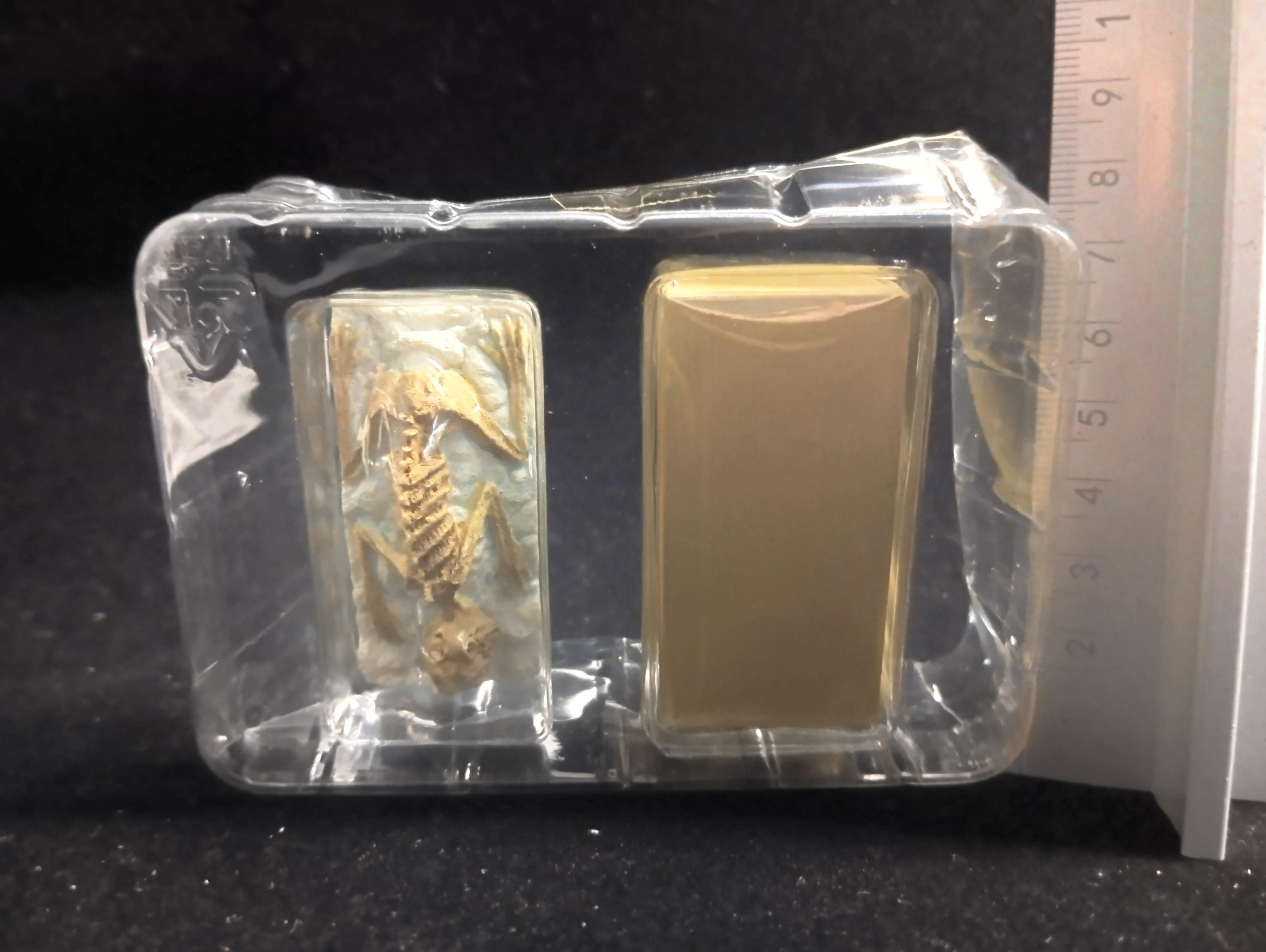 Kaiyodo Collect Club Seven Wonders Figure - Kappa mummy