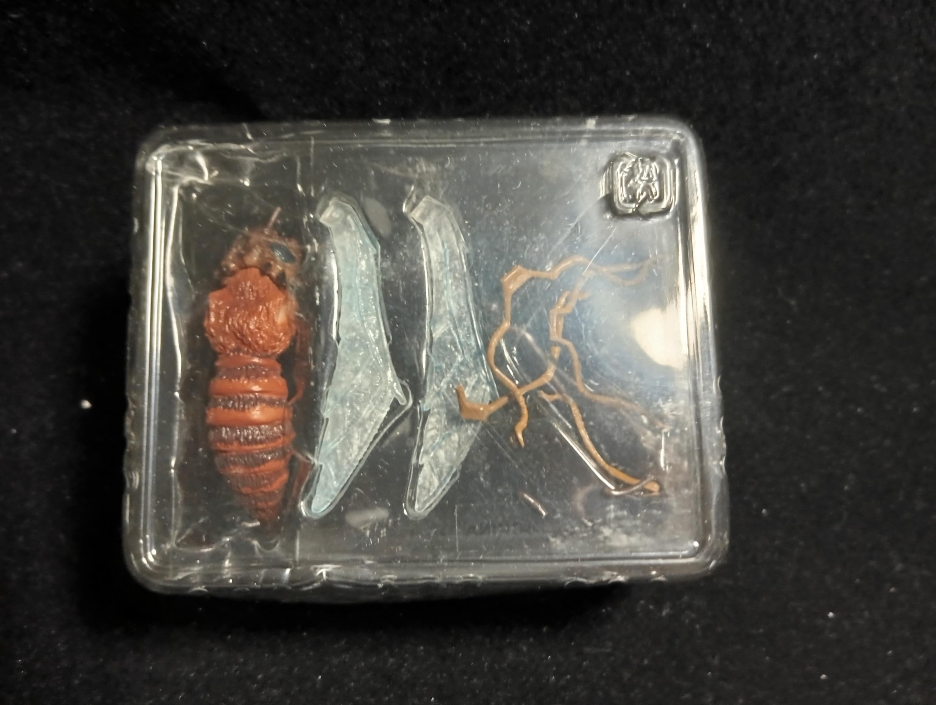 Special Effects Encyclopedia Murder Highly Toxic Insect Iwakura