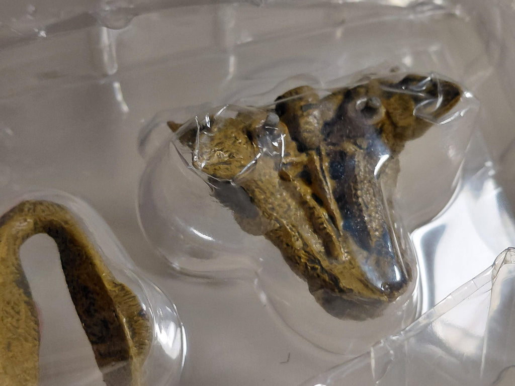 Kaiyodo UHA Collect Club dinosaur figures #003 Tarchia