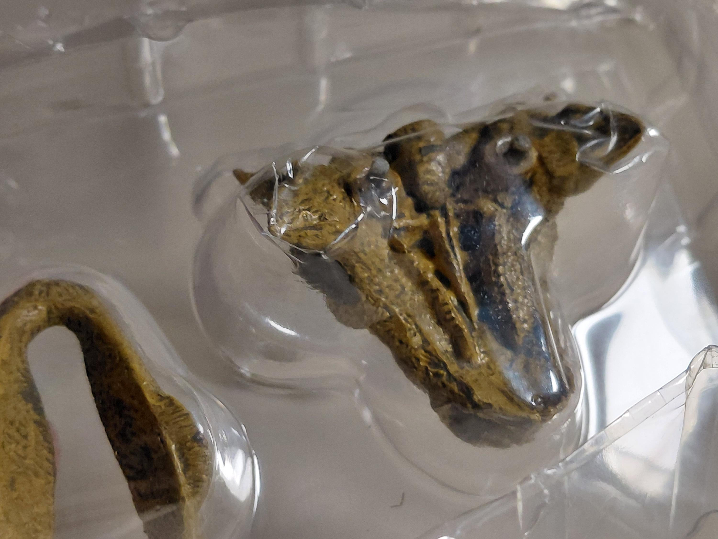 Kaiyodo UHA Collect Club dinosaur figures #003 Tarchia
