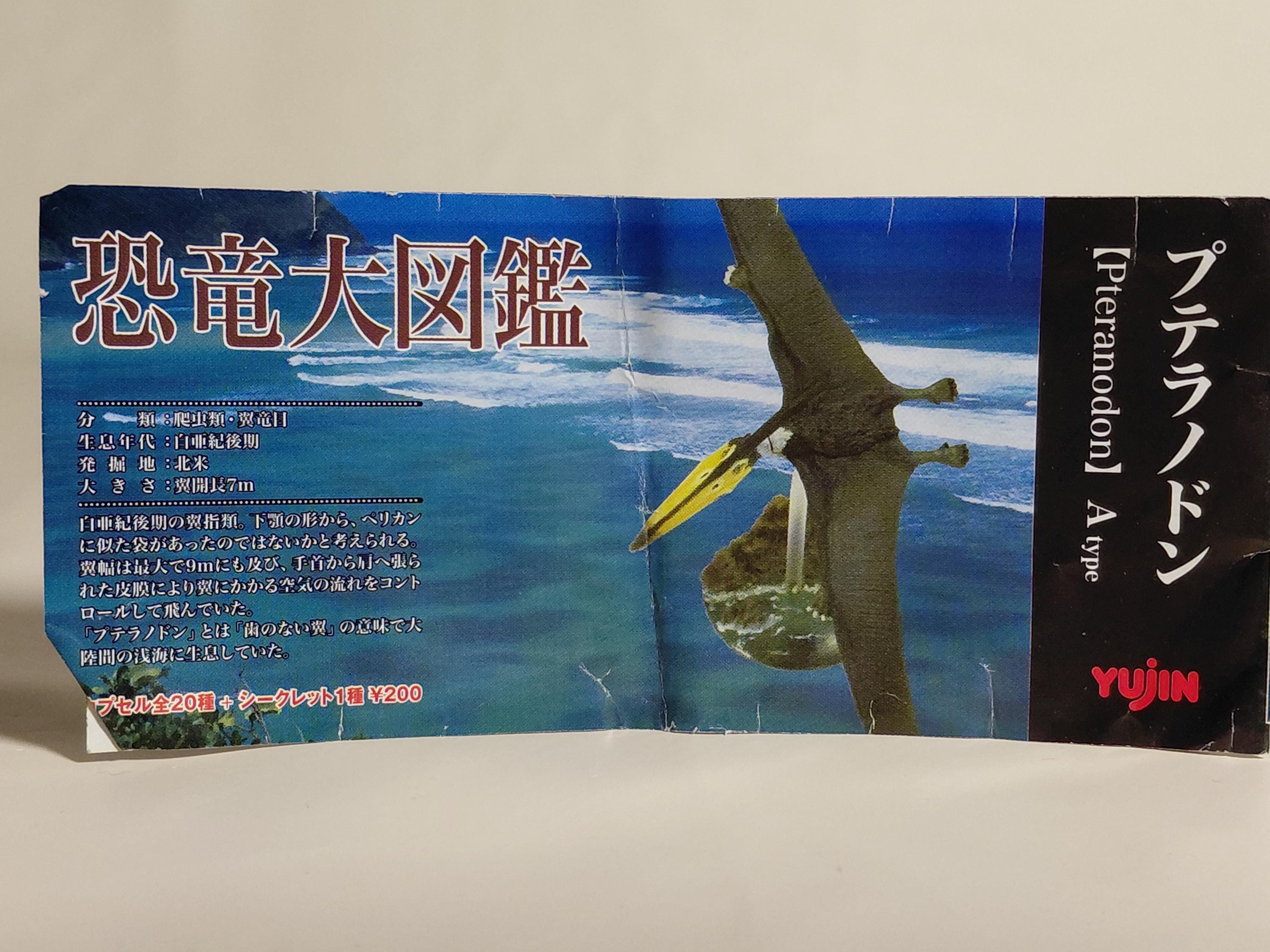 Dinosaur Picture Book" series by Yujin - Pteranodon A type
