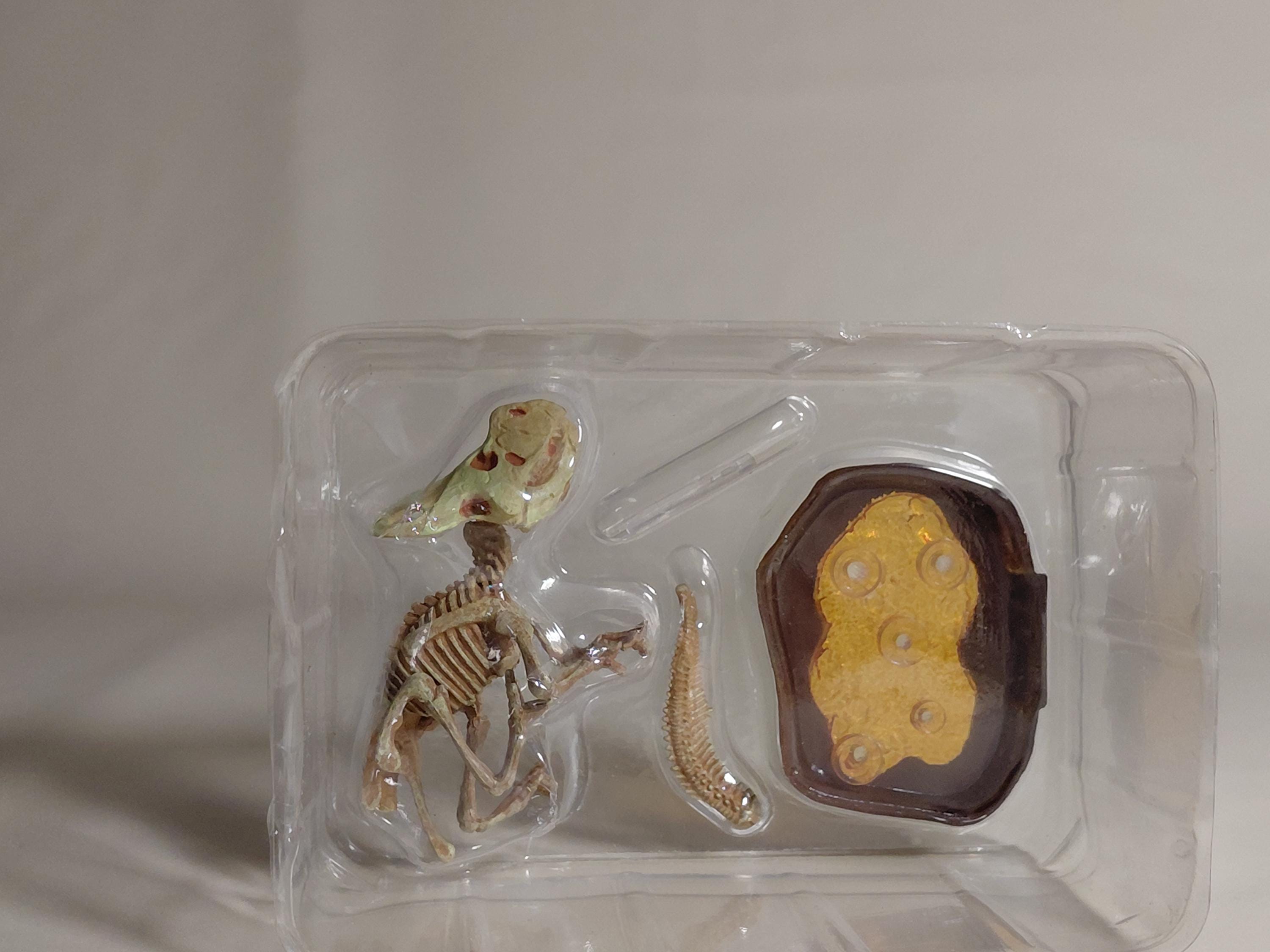 F-Toys Kaiyodo "Dinosaur Master" Protoceratops