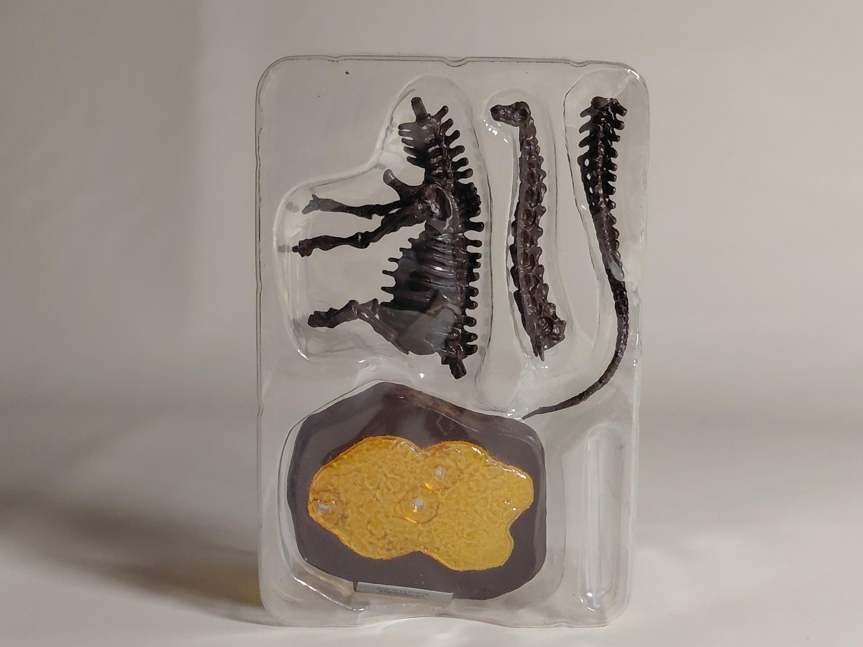 F-Toys Kaiyodo "Dinosaur Master" #1. Diplodocus Fossil Color