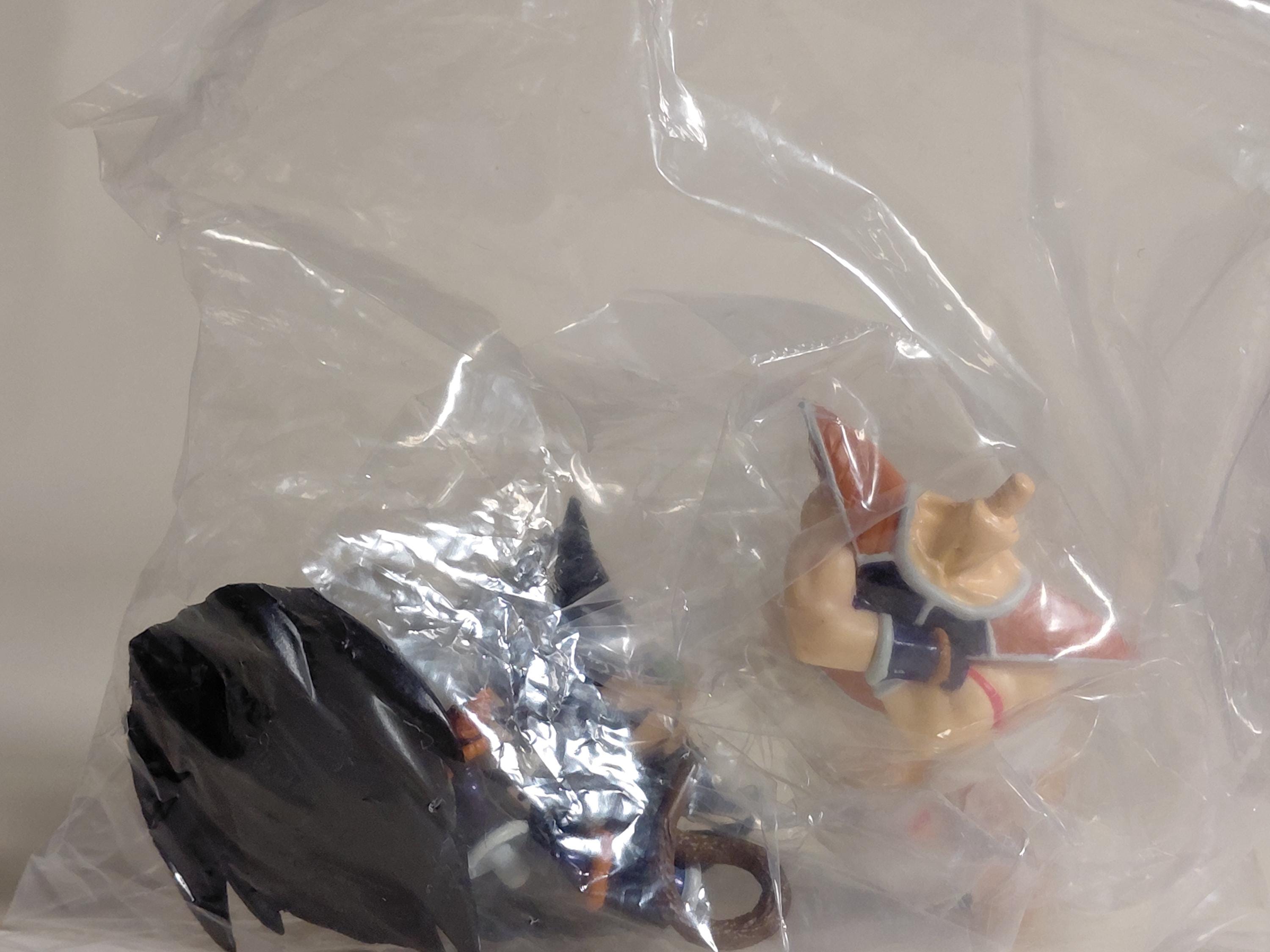 HG Dragon Ball Z SP The Fierce Battle for Earth  Bandai ~ Raditz