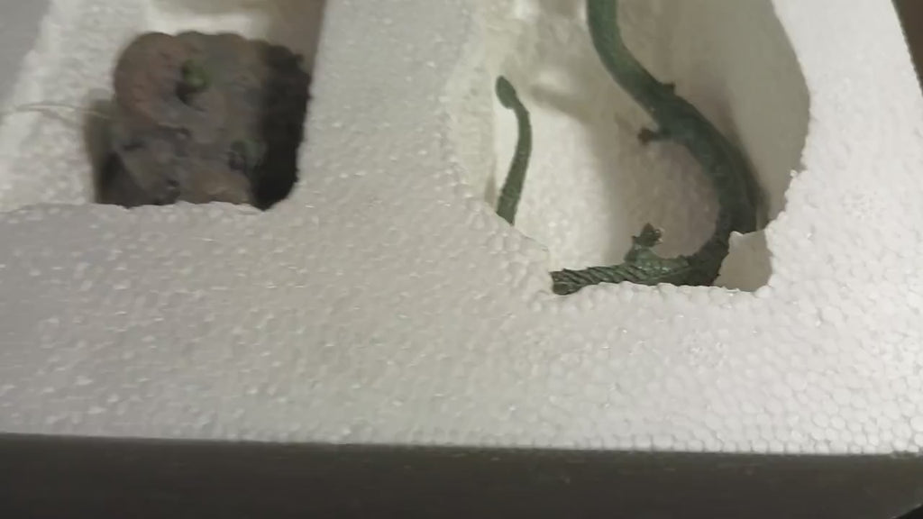 Godzilla Special Effects Encyclopedia DELUXE Sea Dragon Manda & Minilla Iwakura 2005
